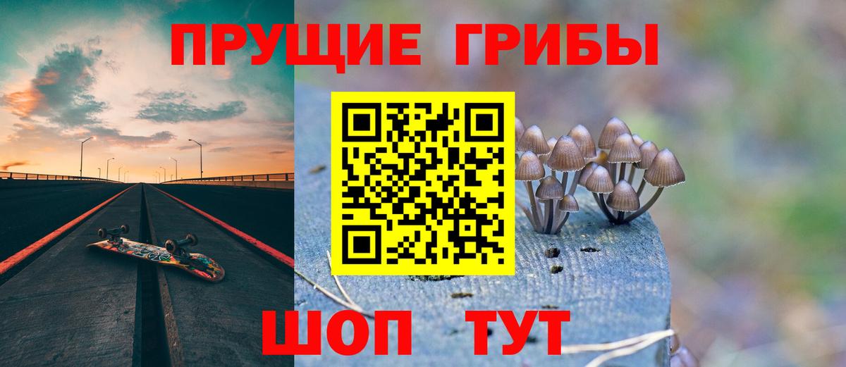 Псилоцибиновые грибы прущие грибы  Вход с VPN  Сокол  Псилоцибиновые грибы мицелий 